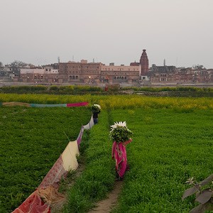 Keshi Ghat Fields