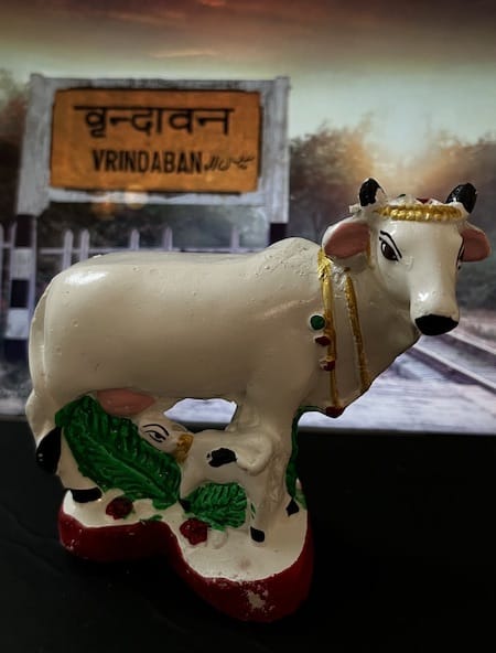 Cow Vraj Vrindavan