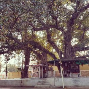 Bhandirvan Travel Guide - Vraj Vrindavan
