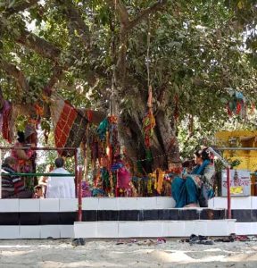 Bhandirvan Travel Guide - Vraj Vrindavan